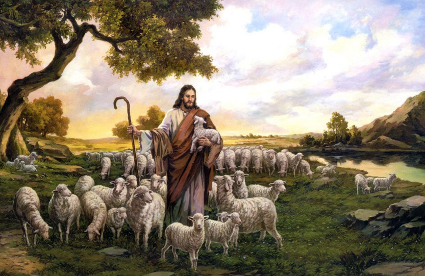 REFLECTION FOR FOURTH SUNDAY OF EASTER (GOOD SHEPHERD SUNDAY) - Fr.  Chinaka's Media